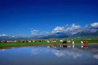 去賽里木湖別只拍照,環湖騎車 坐直升機 乘熱氣球 想怎么玩就怎么玩