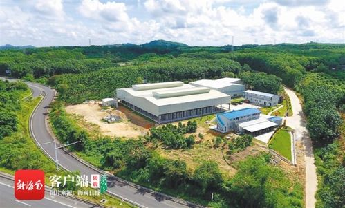 澄邁實施產業扶貧項目94個 投入扶貧資金3359萬元